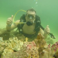 Pedro (@pcontartese) 's Twitter Profile