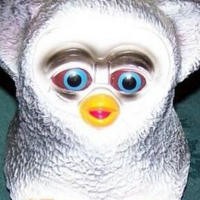 Burnt Furby On Twitter Does Roblox Even Care Bout The Oders Roblox Furby Roblox Furby Burnt Furby On Twitter Does Roblox Even Care Bout The Oders