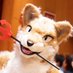 Rio (歌犬) (@1wanko) Twitter profile photo Rio (歌犬) (@1wanko) Twitter profile photo