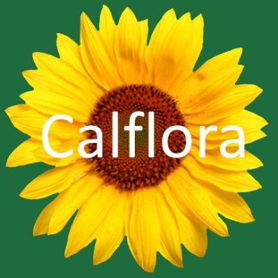 At Calflora you can record your plant observations to help provide information about California biodiversity for use in Education, Research & Conservation.