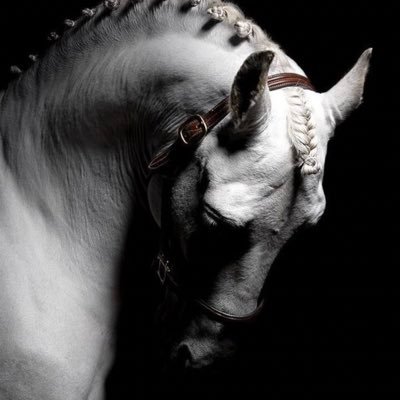 يارب أنِر قبري إذا مت ، وثبِت لساني إذا سُئِلت ، واغفرلي إذا أذنبت