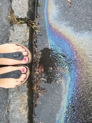 SB83324581's profile picture. 