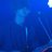 Astringents15