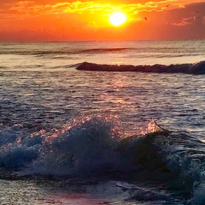 Bailey34182337's profile picture. 