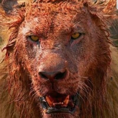 ava_avalega's profile picture. just eater