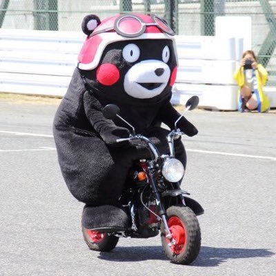 dara4989's profile picture. ゴライコーとPANDALINDAにいます