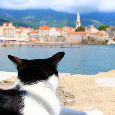 BEKO38016160's profile picture. こんにちは！旅行、お出かけ大好きなベコです！ブログを通じて、旅行、ディズニー、カフェ、ジャニーズネタなどをみなさんにお伝えしています^_^ぜひご覧ください♫