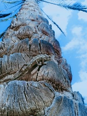 DHfMewcYf1yY1TT's profile picture. ‏‏