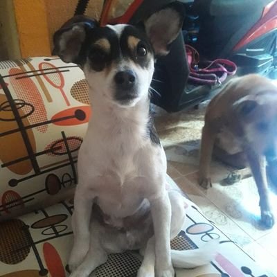 Una persona respetuosa, honesta trabajadora