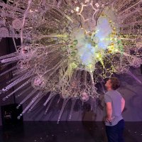 Oliver Janoschka (@ojanoschka) 's Twitter Profile