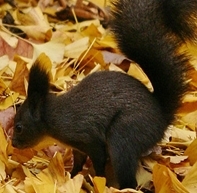 boram369's profile picture. 반갑습니다. 변화에 서로 공감하는 사람/ 산 타기 좋아하는 사람/ 때론 부담없이 대화 할 수 있는 사람, 환영합니다. /아이폰 건강 / 여행 영화 / 부산