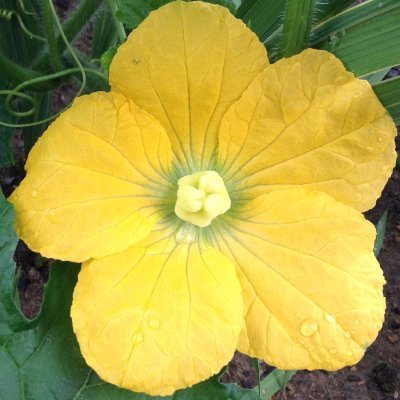 kenz_zzz's profile picture. じじいになりかけてる。
流れる雲をぼーっと眺めている。
昼は走っている。
朝は寝ぼけている。
夜は酔っぱらってつぶやいている。