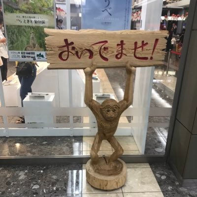 元NITTC/ME/SA/メカトロシステム部/設計藩 /一波万波リーダー/札幌旭、玉屋鍵屋 選手/飛龍上雲、双宿双飛 ピット/高専ロボコン2018〜2022