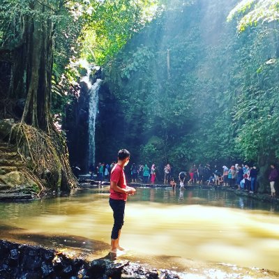 martin_msie's profile picture. 