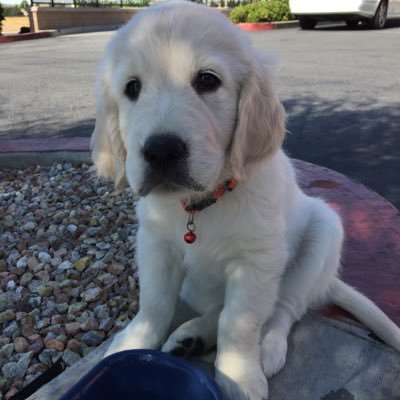 SavetheWoodz's profile picture. 