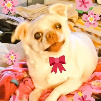 Miss Tinkerbella Isabella Eckert  Went OTRB 8/25/19  Zombie Squad Lieutenant Nurse Cheerleader Princess Super Hero Moto Rider #ZSHQ #XPSHQ #TheRoughRiderz