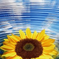 Great Relate (@greatrelate) Twitter profile photo