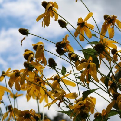 ellenjohnston93's profile picture. I love to laugh.  I am sarcastic in a nice way (in my mind)  commercials crier.