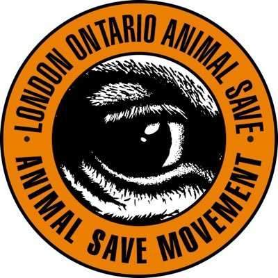 London Ontario Animal Save inspires change through positive action by bearing witness & promoting awareness about animal slaughter in #LdnOnt. 🇨🇦