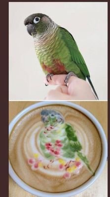 TUidPzeFQppIuYR's profile picture. .