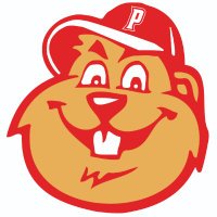 Punxsy Baseball (@punxsybaseball) 's Twitter Profile