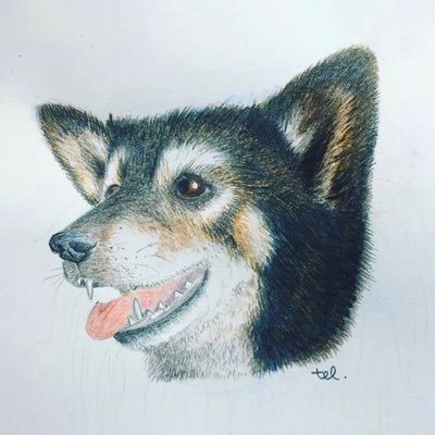 teruteru_yoさんのプロフィール画像