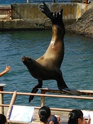 MITU17561030's profile picture. No play,no life. 本当は小劇場の濃密空間が大好物。