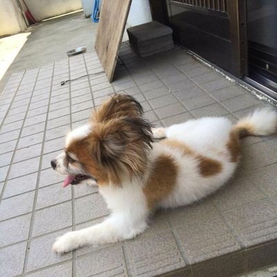 みーちー アパートの下でバイクがめっちゃうるさいけど3階からブロック投げようかな