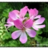 jmkim2005's profile image