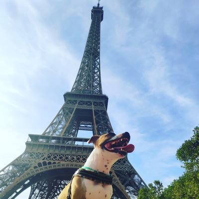 h2non's profile picture. Nope.