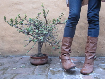 IsaBerdeja's profile picture. 