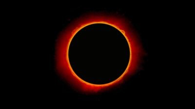 FingereF's profile picture. 