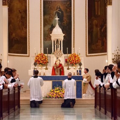 I’m a Catholic Priest. Born in Mexico, raised in NC, moved to Mexico City then to Philly, both I love, finally home now in NC. #pray
