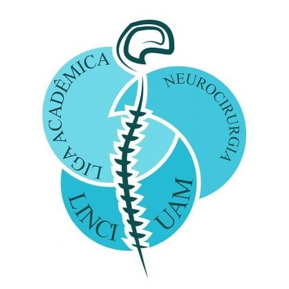 Liga de neurocirurgia LINCI de Piracicaba