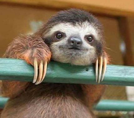 przemekdw's profile picture. #Dev #PHP #Symfony