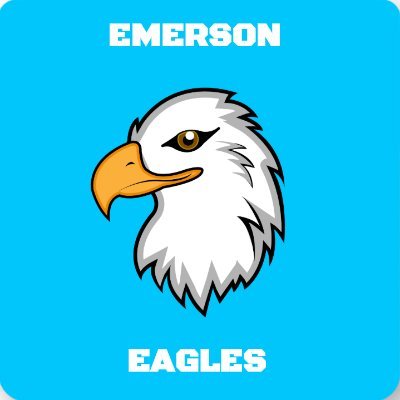 We are the Emerson Eagles Robotics Team (#12890) located in Ann Arbor, MI at Emerson School.