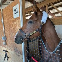 Monmouth Park Racetrack Memories (@parkmonmouth) 's Twitter Profile