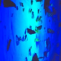 SysBioDiv (@sysbiodiv) 's Twitter Profile Photo SysBioDiv (@sysbiodiv) 's Twitter Profile Photo