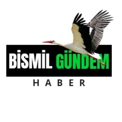 bismilgundem's profile picture. Gündem Haber
