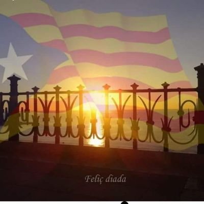 PerePardines's profile picture. Noto vibracions positives. Ara és l'hora...Ho tenim a tocar.