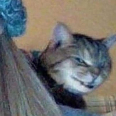 unbegrenzte0's profile picture. 