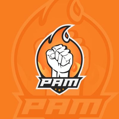 Fuimos la llama que incendio los Esports en España. Perseverancia, Actitud, Motivación. #SiemprePAM 🔥