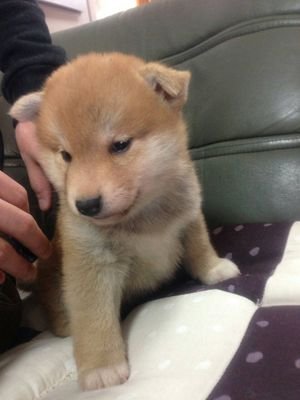 VMSOJhNsPkrP0kr's profile picture. 