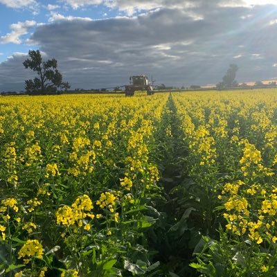 ZachMcRae3's profile picture. Grain farmer in southern NSW