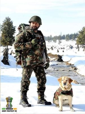 RaviKum15846471's profile picture. good morning