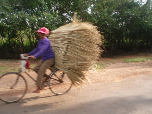 AdrienPec's profile picture. 