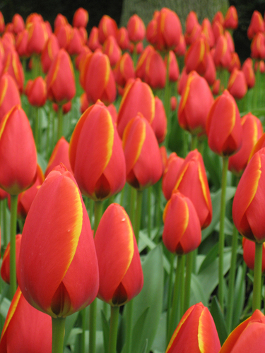 IMEMwpOFFICE's profile picture. IM&EM work placement office helps you find that great work placement in Media & Entertainment! Find all work placement news and updates here.