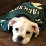 philasports20's profile picture. Family, Fun, Music, and all Philadelphia Sports Teams