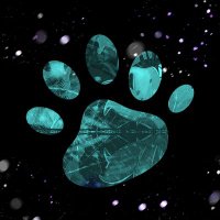 Animales Perdidos (@animalesperdid2) 's Twitter Profile