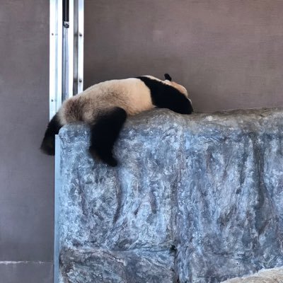 lwsjlt1147's profile picture. 